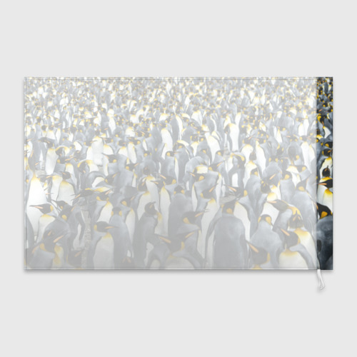 Флаг 3D Пингвины Penguins - фото 2