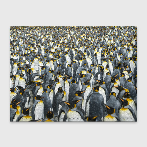 Обложка для студенческого билета Пингвины Penguins, цвет зеленый - фото 2