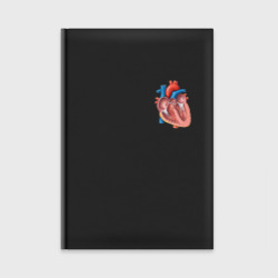 Ежедневник Анатомия Сердце