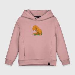 Детское худи Oversize хлопок Foiled Again - динозавр на скакалке 