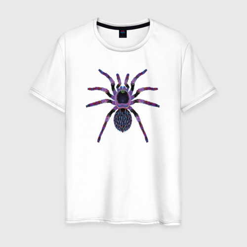 Мужская футболка из хлопка с принтом Огромный психоделический паук, вид спереди №1