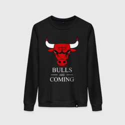 Женский свитшот хлопок Chicago Bulls are coming Чикаго Буллз