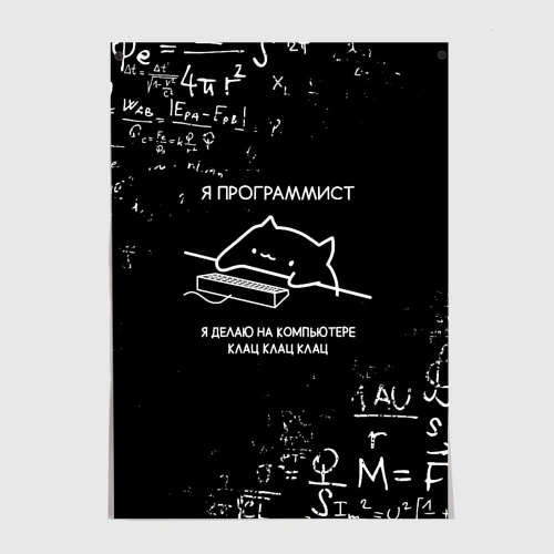 Постер Кот программист формулы