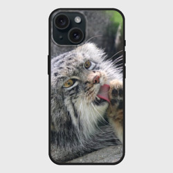 Чехол силиконовый для Apple iPhone 15 матовый Манул Лапка