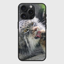 Чехол силиконовый для Apple iPhone 15 Pro матовый Манул Лапка