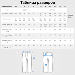 Брюки с принтом Имперская униформа Россия для мужчины, вид на модели спереди №4. Цвет основы: черный
