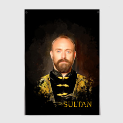 Постер Султан  Сулейман