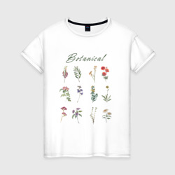 Женская футболка хлопок Botanical разные растения ботаника