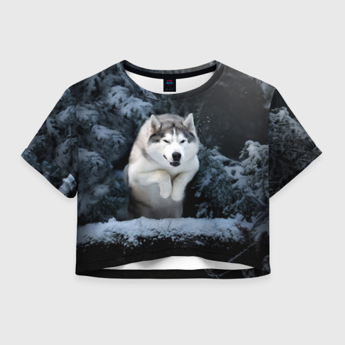 Женская футболка Crop-top 3D Хаски в зимнем лесу, Husky, цвет 3D печать