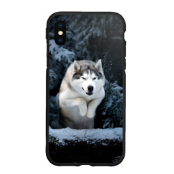 Чехол для iPhone XS Max матовый Хаски в зимнем лесу, Husky
