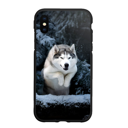 Чехол для iPhone XS Max матовый Хаски в зимнем лесу, Husky