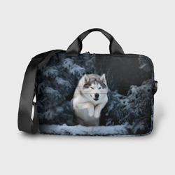 Сумка для ноутбука 3D Хаски в зимнем лесу, Husky