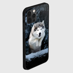 Чехол для iPhone 12 Pro Max Хаски в зимнем лесу, Husky - фото 2
