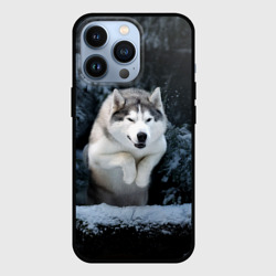 Чехол для iPhone 13 Pro Хаски в зимнем лесу, Husky