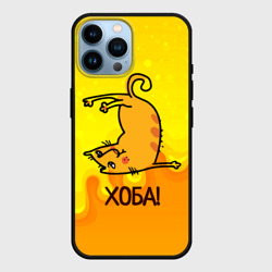 Чехол для iPhone 14 Pro Max Кот делает Хоба!