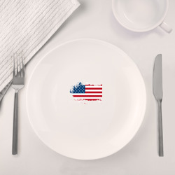 Набор: тарелка + кружка Американский флаг Stars - фото 2