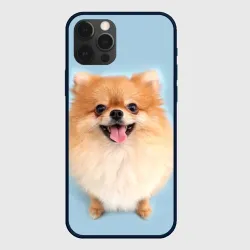 Чехол для iPhone 12 Pro Щенок Померанского Шпица