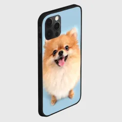 Чехол для iPhone 12 Pro Щенок Померанского Шпица - фото 2