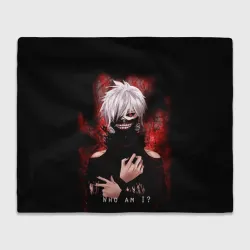Плед 3D Tokyo Ghoul Токийский Гуль Who am I