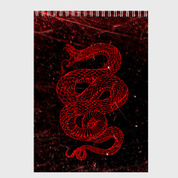 Скетчбук Красная Змея Red Snake Глитч