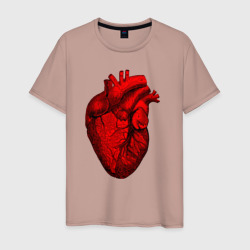 Мужская футболка хлопок Сердце анатомическое