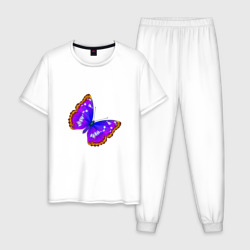 Мужская пижама хлопок Тропическая бабочка морфо