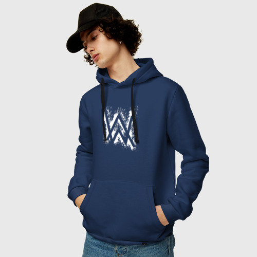 Alan Walker 3075 3130985