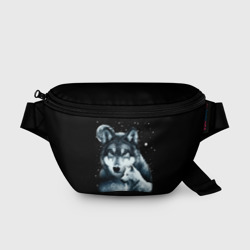 Поясная сумка 3D Ночные Волки