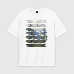 Мужская футболка Oversize хлопок texturе Горы, небо и птицы