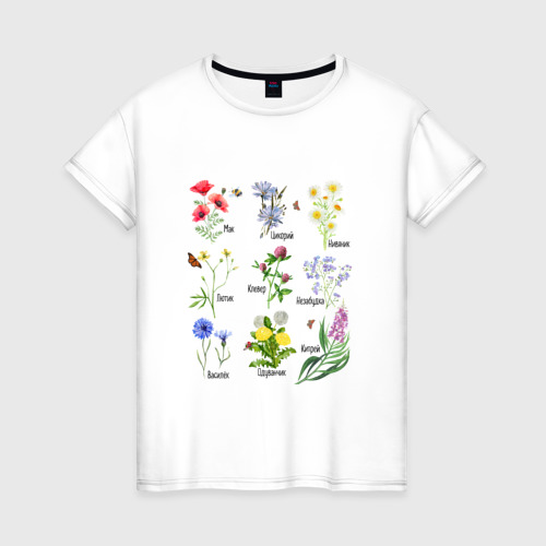 Женская футболка из хлопка с принтом Иллюстрации полевых цветов с названиями, вид спереди №1