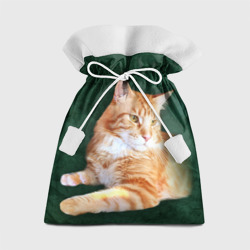 Подарочный 3D мешок Мейн кун рыжий кот