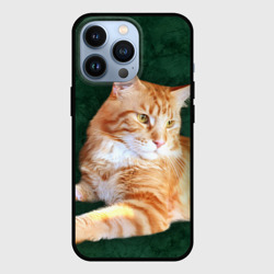 Чехол для iPhone 13 Pro Мейн кун рыжий кот
