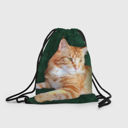 Рюкзак-мешок 3D Мейн кун рыжий кот