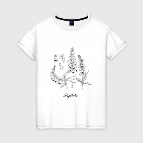 Женская футболка из хлопка с принтом Наперстянка Digitalis ботаническая иллюстрация, вид спереди №1