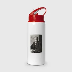 Бутылка для воды с трубочкой Casual freud