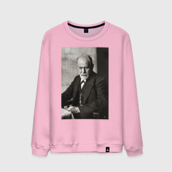 Мужской свитшот хлопок Casual freud