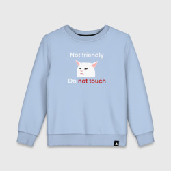 Детский свитшот хлопок Not friendly, do not touch, текст с мемным котом