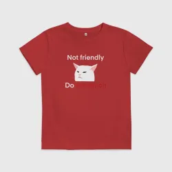 Детская футболка хлопок Not friendly, do not touch, текст с мемным котом