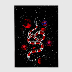 Постер Змея в Красном Космосе Space Snake