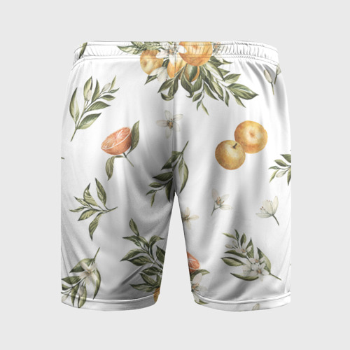 Мужские шорты спортивные с принтом Цветы и Мандарин, вид сзади #1