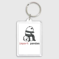 Брелок прямоугольный 35*50 Import pandas