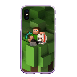 Чехол для iPhone XS Max матовый Minecraft Heroes Video game