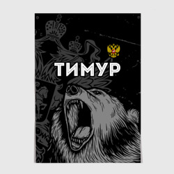 Постер Тимур Россия Медведь