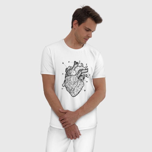 Мужская пижама хлопок Анатомический рисунок сердца, цвет белый - фото 3