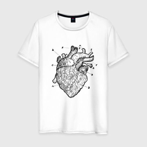 Мужская футболка из хлопка с принтом Анатомический рисунок сердца, вид спереди №1