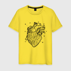 Мужская футболка хлопок Анатомический рисунок сердца