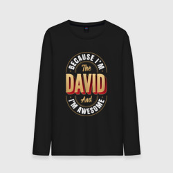Мужской лонгслив хлопок David Классный