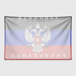 Флаг с принтом Донецкая Народная Республика ДНР для любого человека, вид сзади №1. Цвет основы: белый