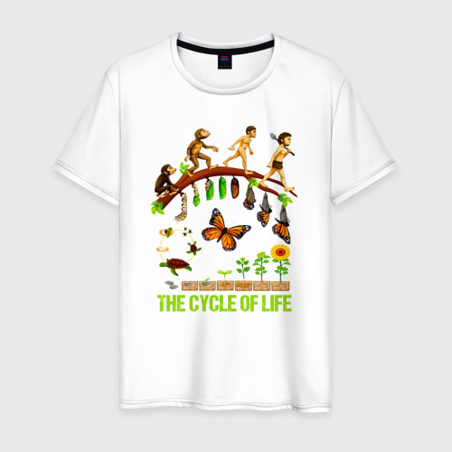 Мужская футболка из хлопка с принтом Цикл жизни эволюция, вид спереди №1
