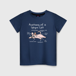 Детская футболка хлопок Анатомия кошки сфинкса